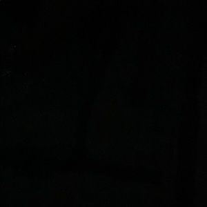 Meet your Posher, Elroy